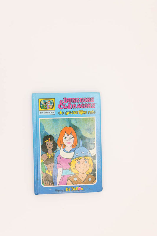 Dungeons&Dragons de gevaarlijke reis childrens book. Dutch. Netherlands.